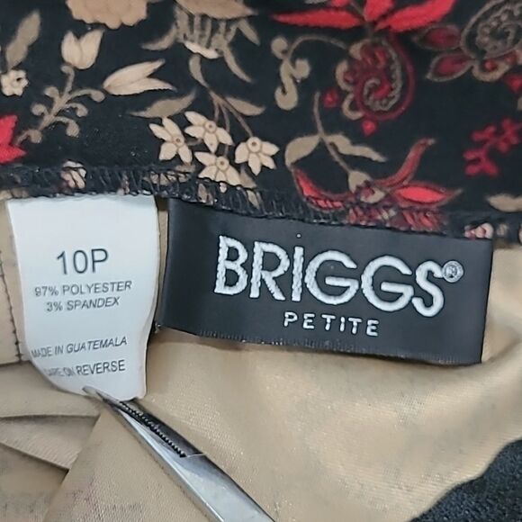 Briggs sz 10P poly spandex skirt. Feels like rich velvet - Picture 8 of 8